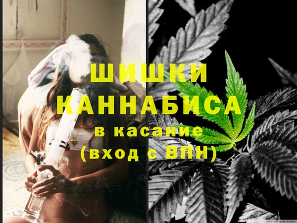 гидропоника Бородино