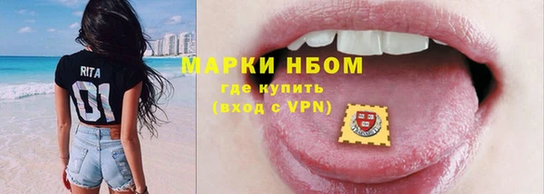 сатива Покачи