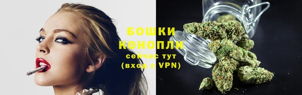 гидропоника Бородино