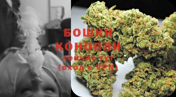 ГАЛЛЮЦИНОГЕННЫЕ ГРИБЫ Бугульма