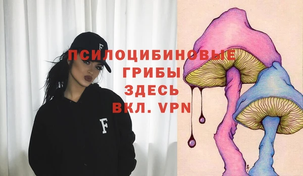 гидропоника Бородино